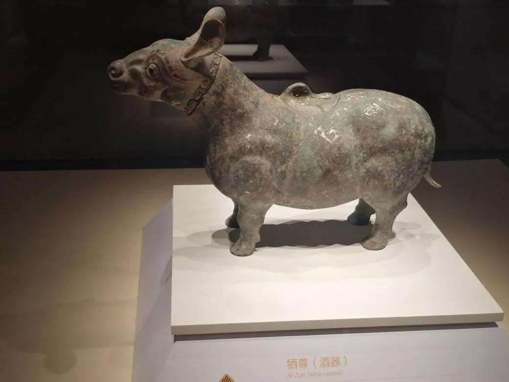 淄博之旅博物馆篇,与我一起去旅游完整版