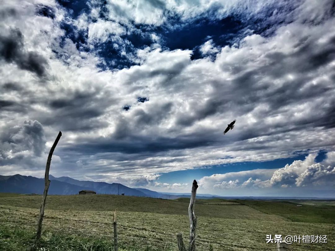 贵州经济运行全面提速全面回升,贵州经济迈向新台阶