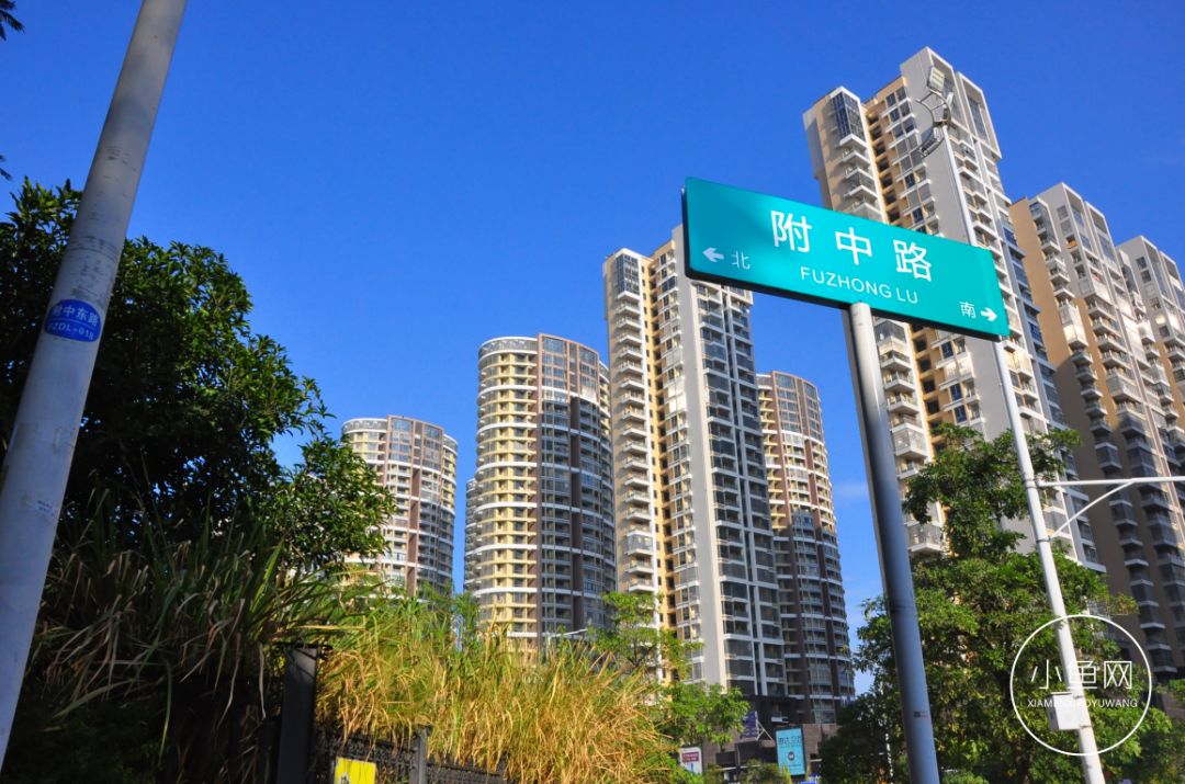 鬼城or未来可期？我们走进漳州港，发现“接盘侠”的各种悲喜交加