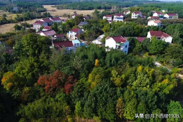 湖南省常宁市发展前景,湖南常宁最新发展