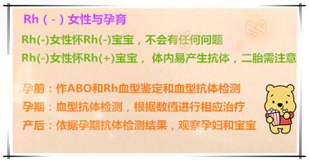 血型遗传知识大全,什么血型会引起胎儿溶血