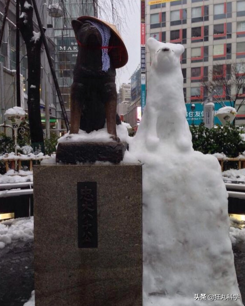 濡傛灉鍫嗛洩浜烘湁娈典綅,鍋囧鍫嗛洩浜烘湁娈典綅