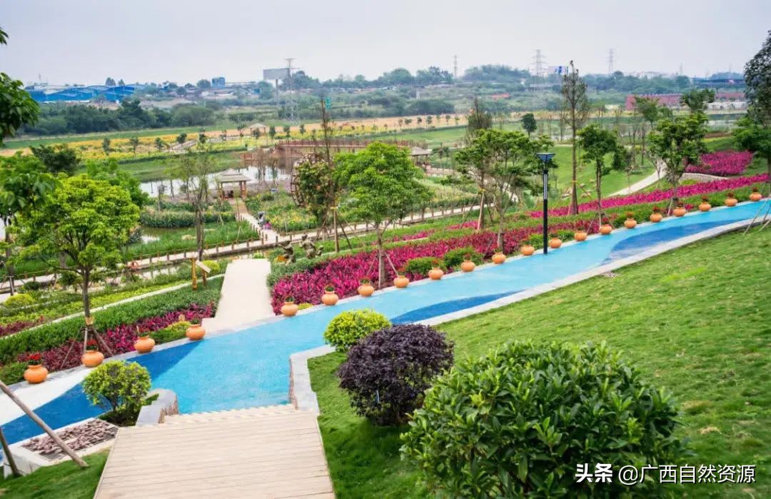 人与自然如何和谐共生的作文,人与自然如何和谐共处论文