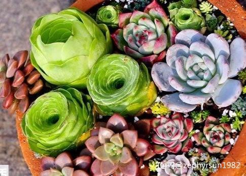 在孔网这片广袤的森林中,有哪些买家深深扎根?