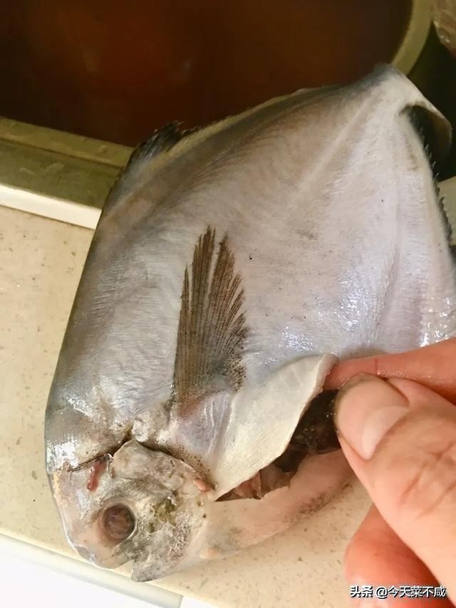 饭店大厨做平鱼最好吃的做法,美食平鱼的制作