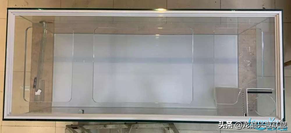 草缸需要买一体化鱼缸吗,为什么没有一体成型的鱼缸