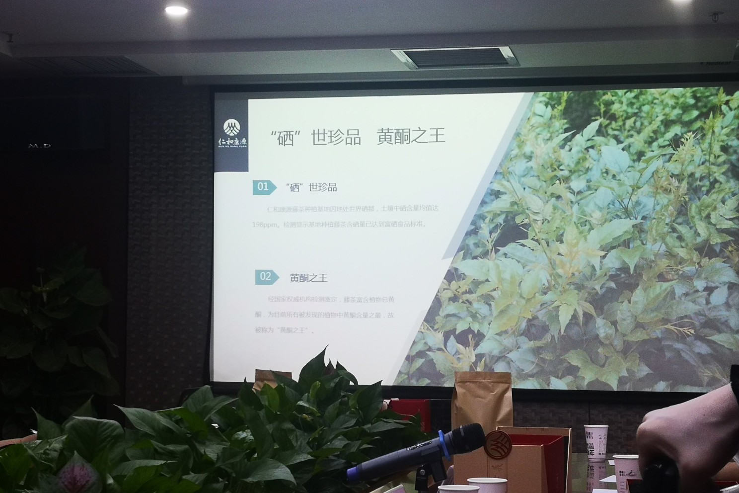 吕心阳调研藤茶企业复工复产
