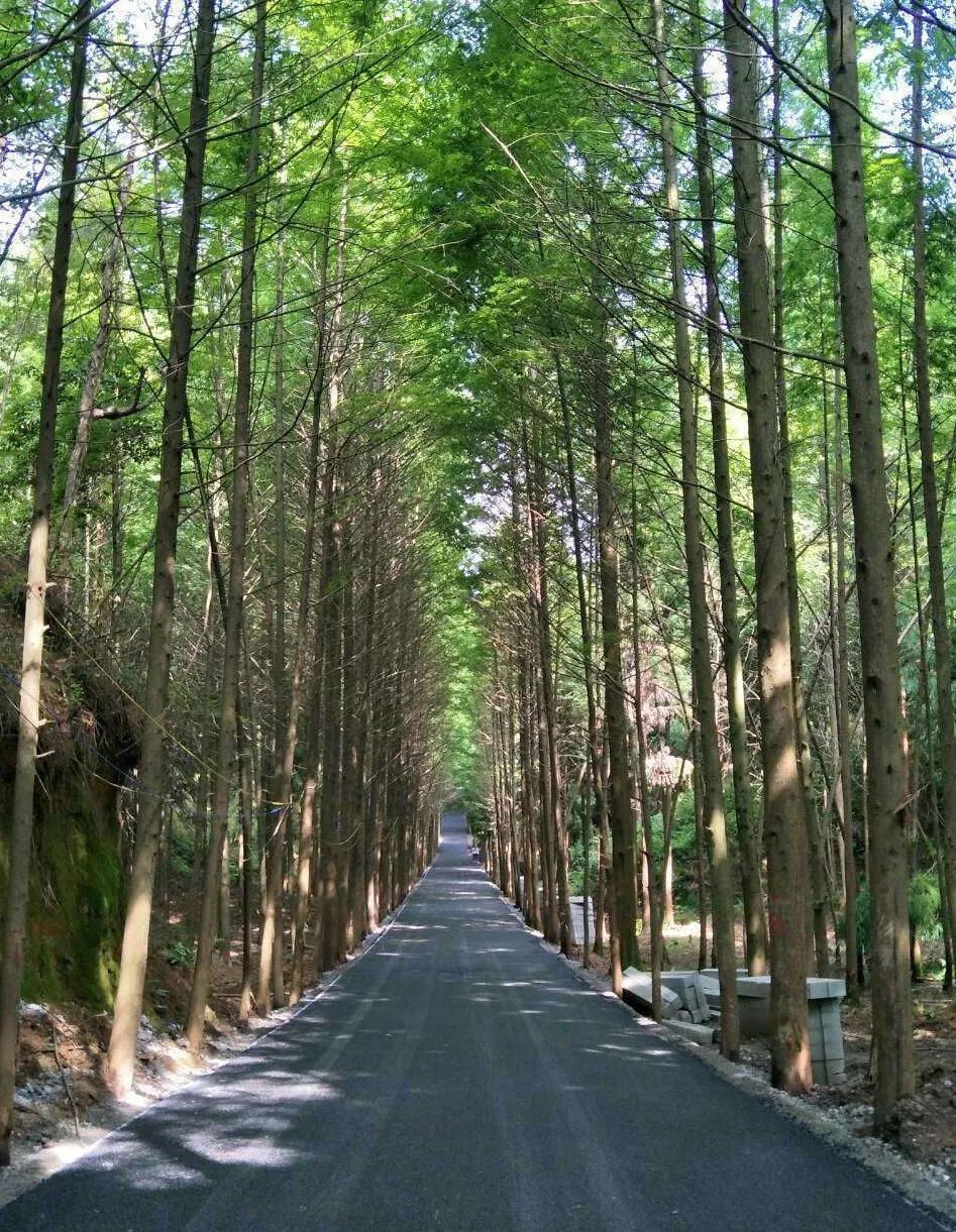 闲坐凉亭、徒步森林、畅快橡皮艇，快来苍溪纳凉避暑~