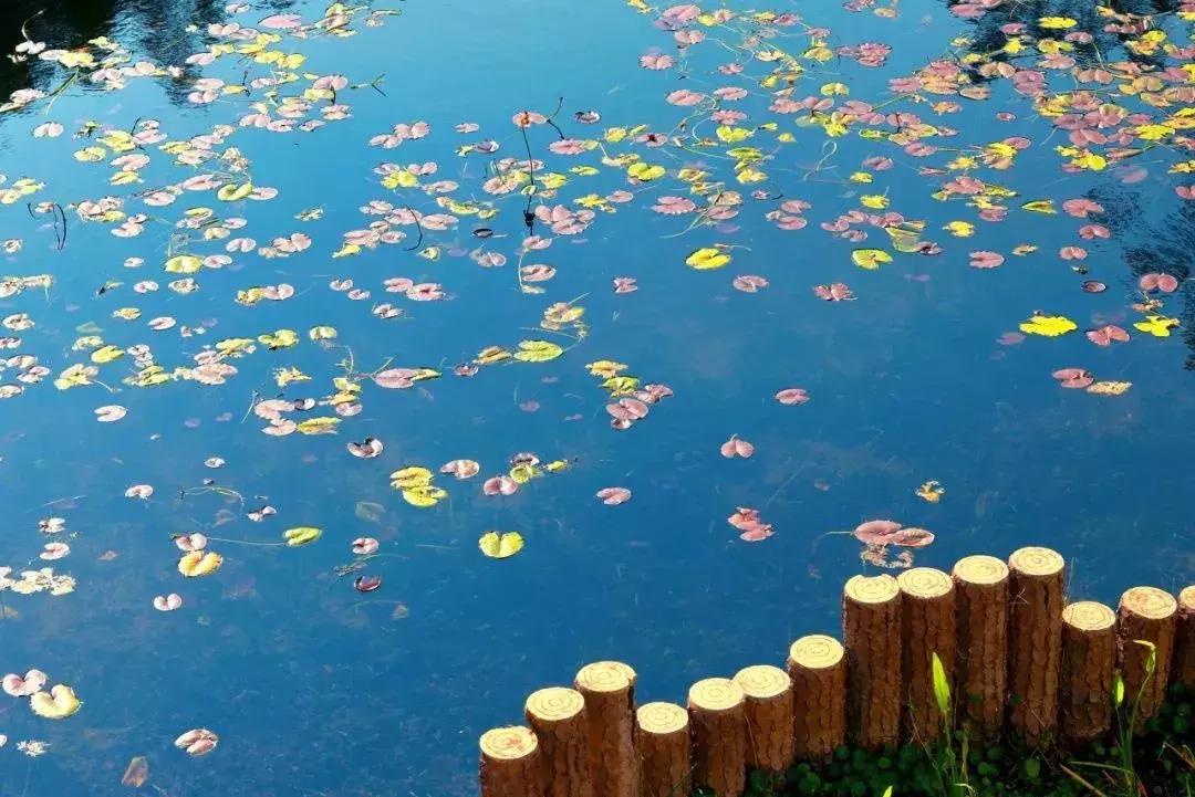 广西有座小城,广西的一座小县城