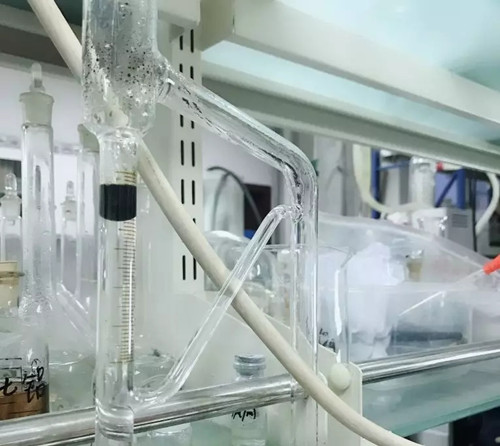 桉树精油科普,每个精油有什么区别