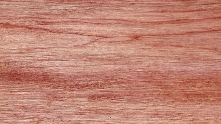 如何识别家具木材,常见家具木材