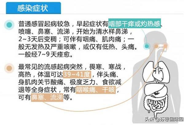 手足口诺如病毒,诺如病毒手足口高发