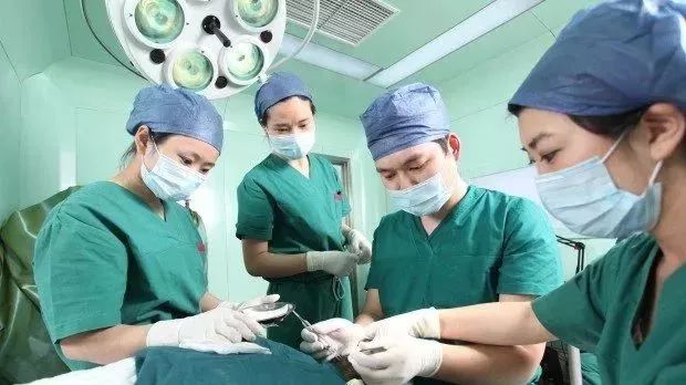 我们都是土生土长的农村娃,我们都是湖北人