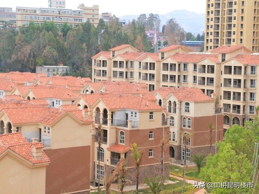 学府路烂尾楼图片,学府路烂尾小区