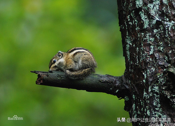 鏂扮枂鏄釜濂藉湴鏂规垜浠庢柊鐤嗘潵鏂囨,鐤嗘柊