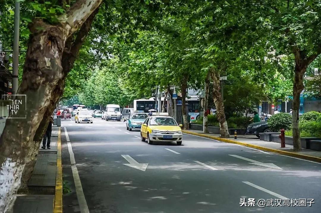 武汉疫情过后就业怎么样,疫情武汉做it行业现在前景