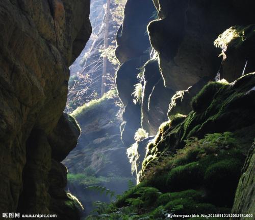 烟台昆嵛山和威海昆嵛山,烟台昆嵛山林场