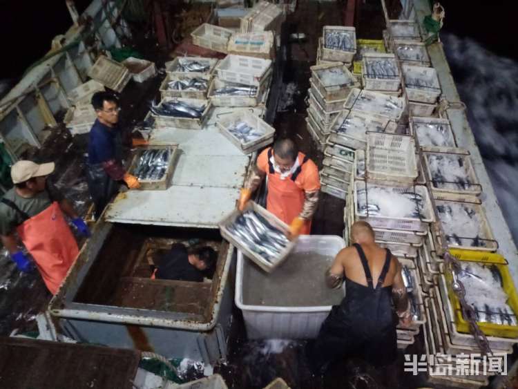 讨海赚钱吗,讨海一天能赚多少