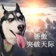 安徽黄山休宁流口虎泉景点,安徽徽州旅游景点简介黄山