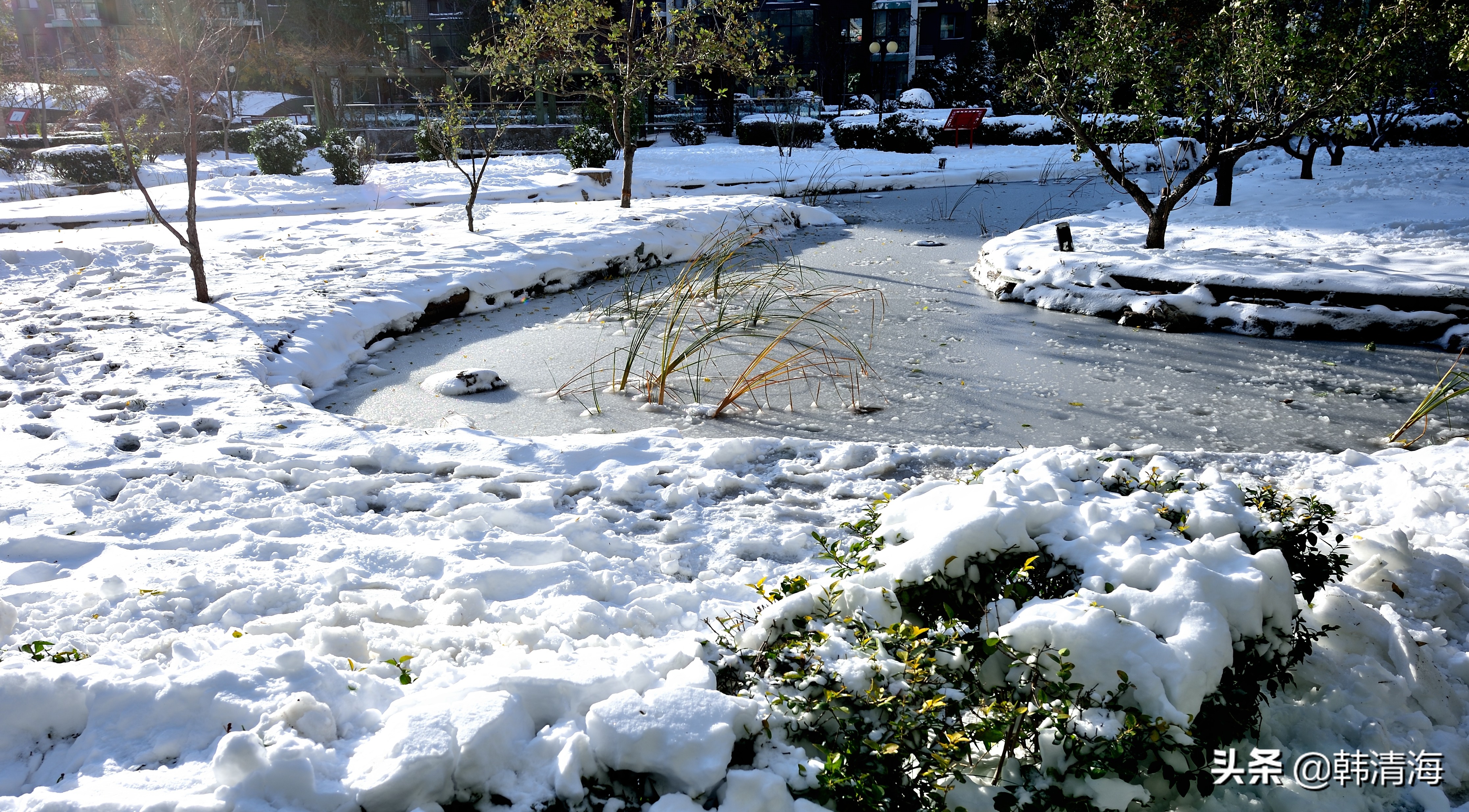 天津2022年雪景,天津第一场雪的美景