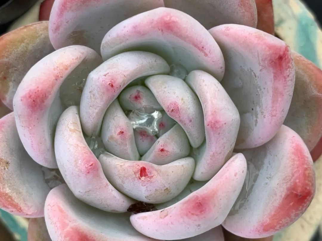 禁足的日子收获颇多,禁足