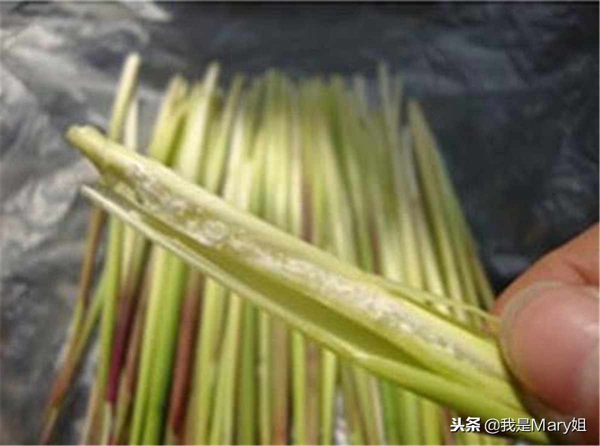 80后回忆学校门口零食,80后零食回忆