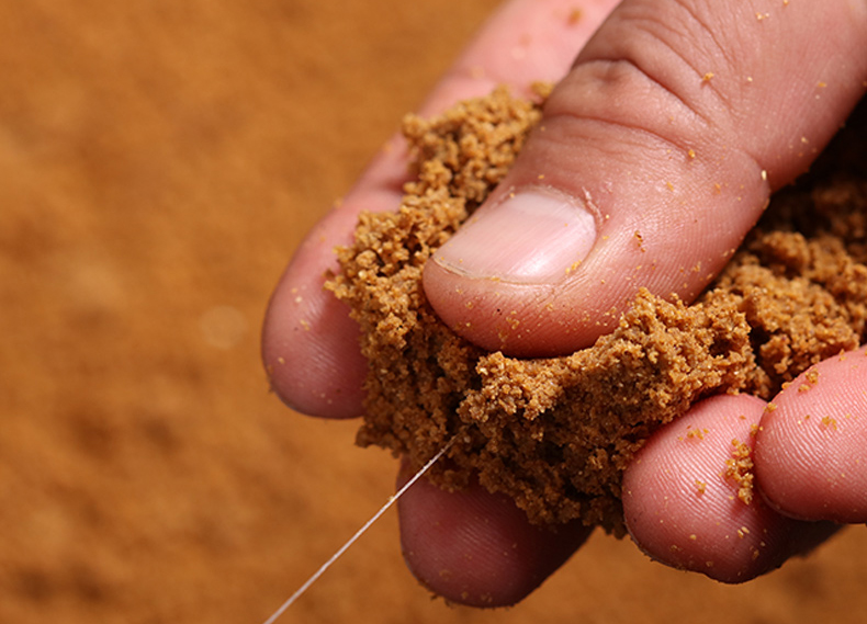 窝料散炮哪几种最诱鱼,散炮窝料野钓可以用吗