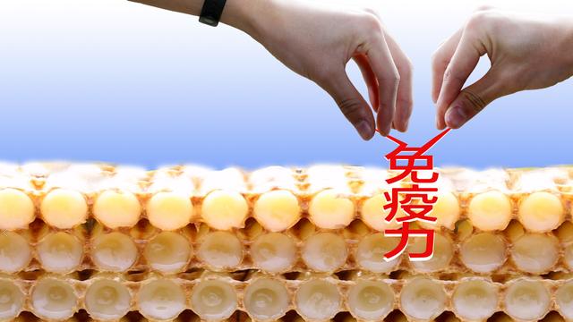 增强免疫力吃蜂王浆好还是蜂胶好,蜂王浆是提高免疫力最好的补品吗