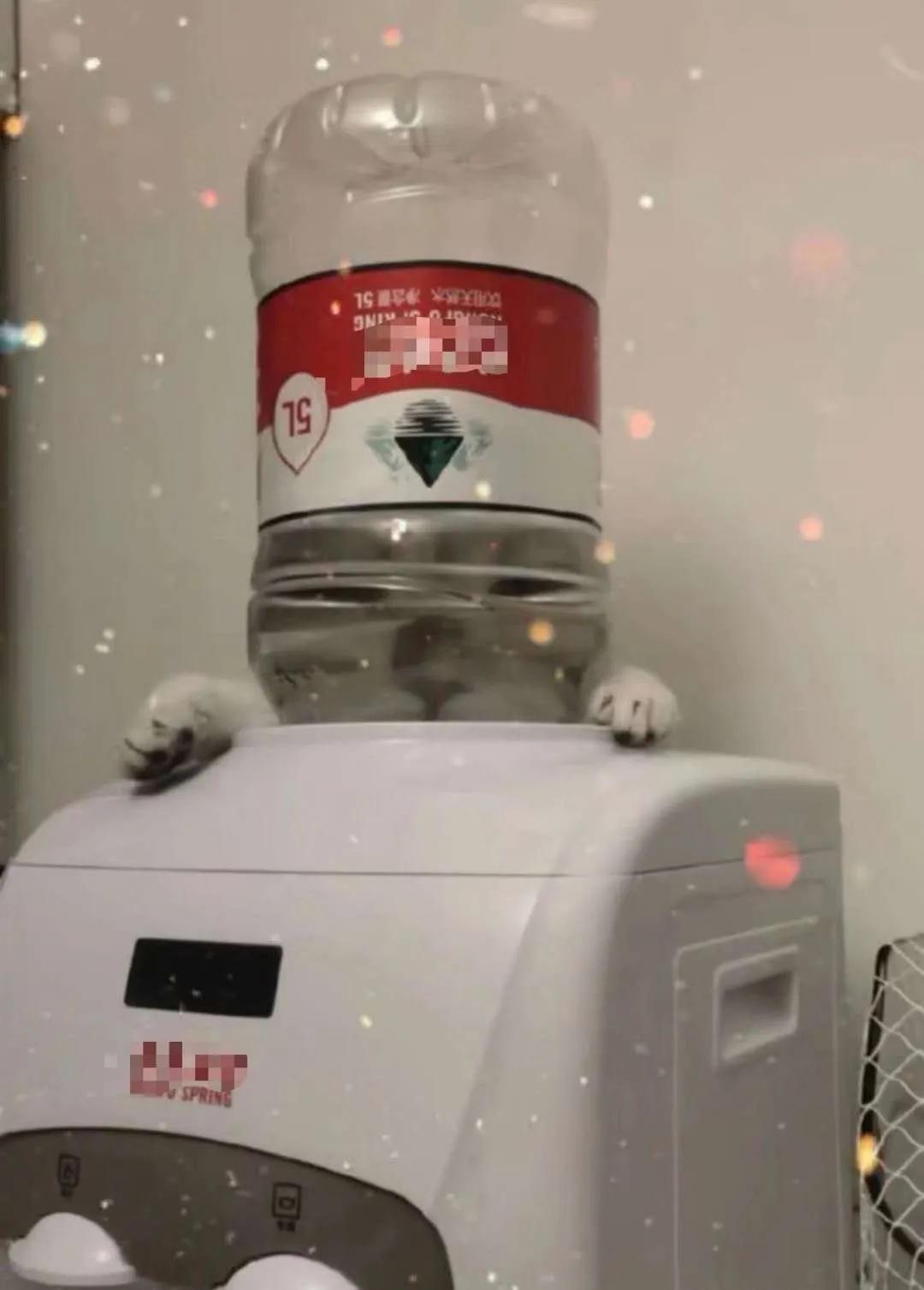 哈哈哈哈哈哈我笑到我妈把鞋塞我嘴里