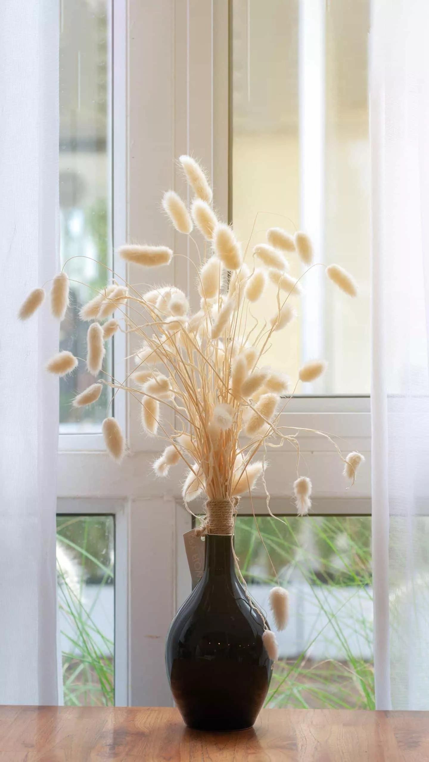 是不是每一个情侣结婚之前会吵架,是不是每个男女朋友都有吵架期