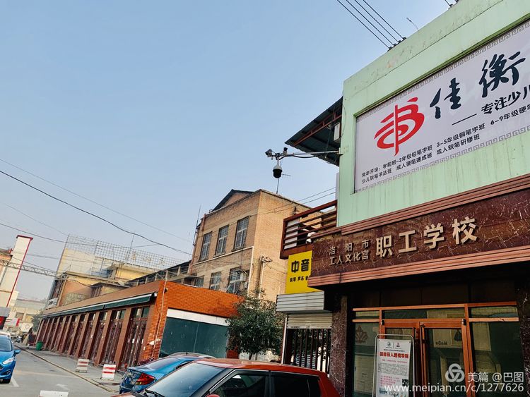 涧西牡丹广场老照片,洛阳牡丹手机拍照