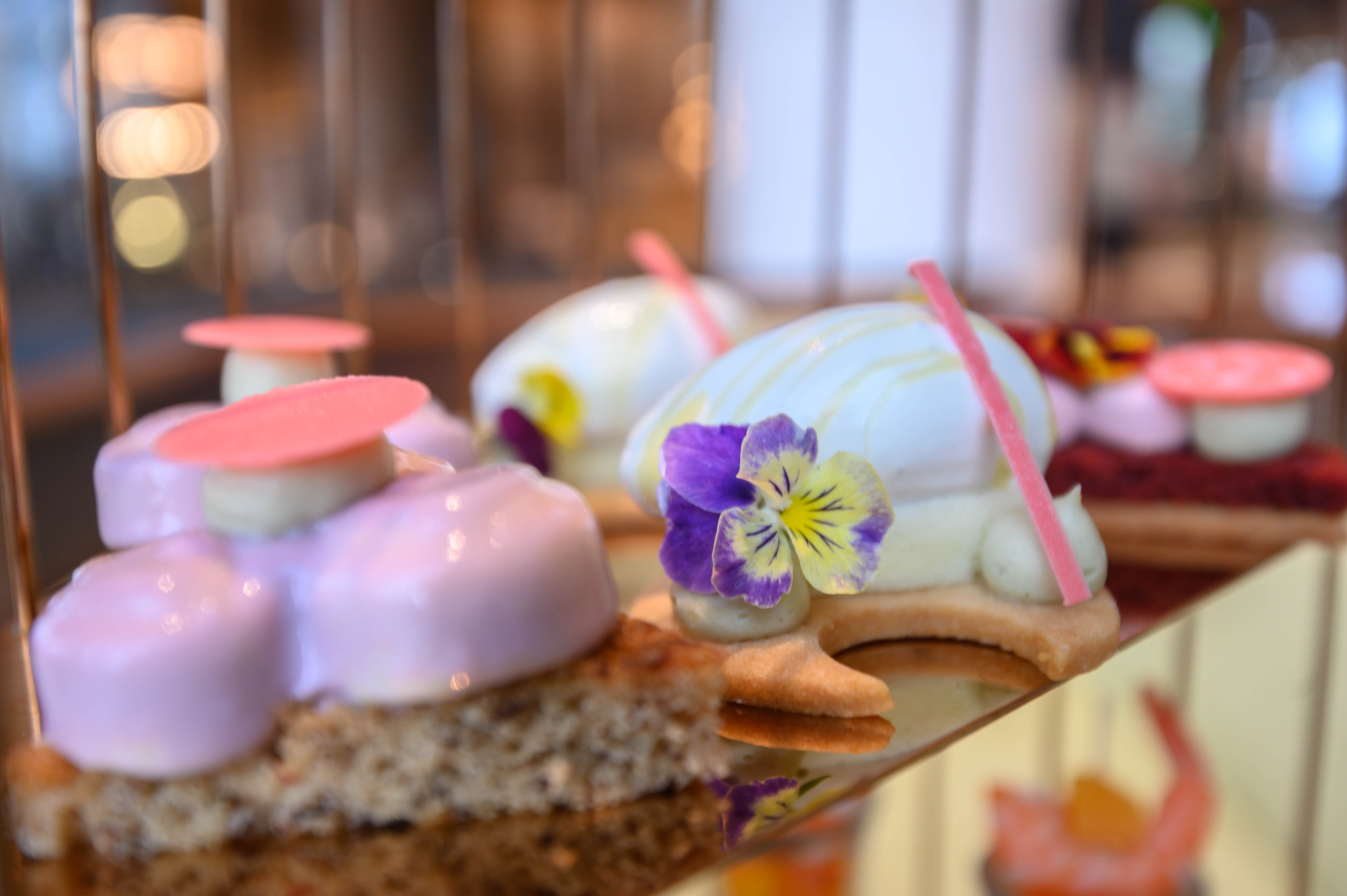 惠东平山五指毛桃窑鸡,惠东小众景点有哪些