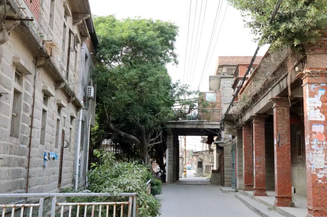 咱厝人的古早味！陈埭坊脚村的百年饼店，一块绿豆饼，传承六代人