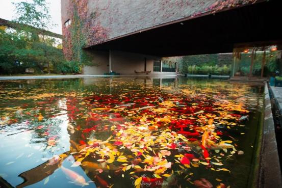 热议！天津大学究竟有多好？官方回应：就14个字！