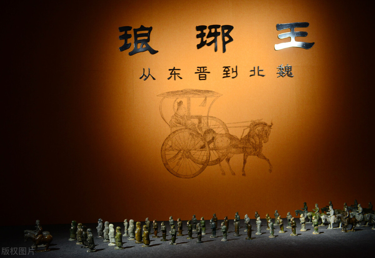 时间能产生无限可能，种下几棵金丝楠或许是你留给后代最优的资产