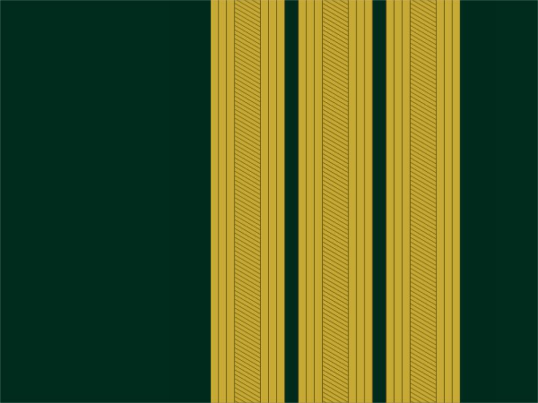 各国军队标识葡萄牙陆军,各国军衔标识葡萄牙