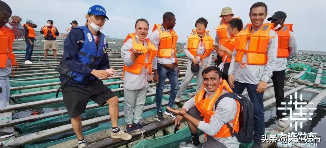 在大连留学生,在外国的中国留学生看国内美食