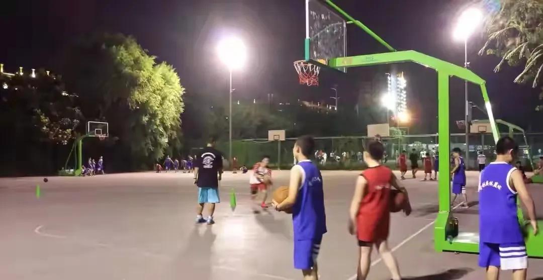 体育元素创意,体育元素节目