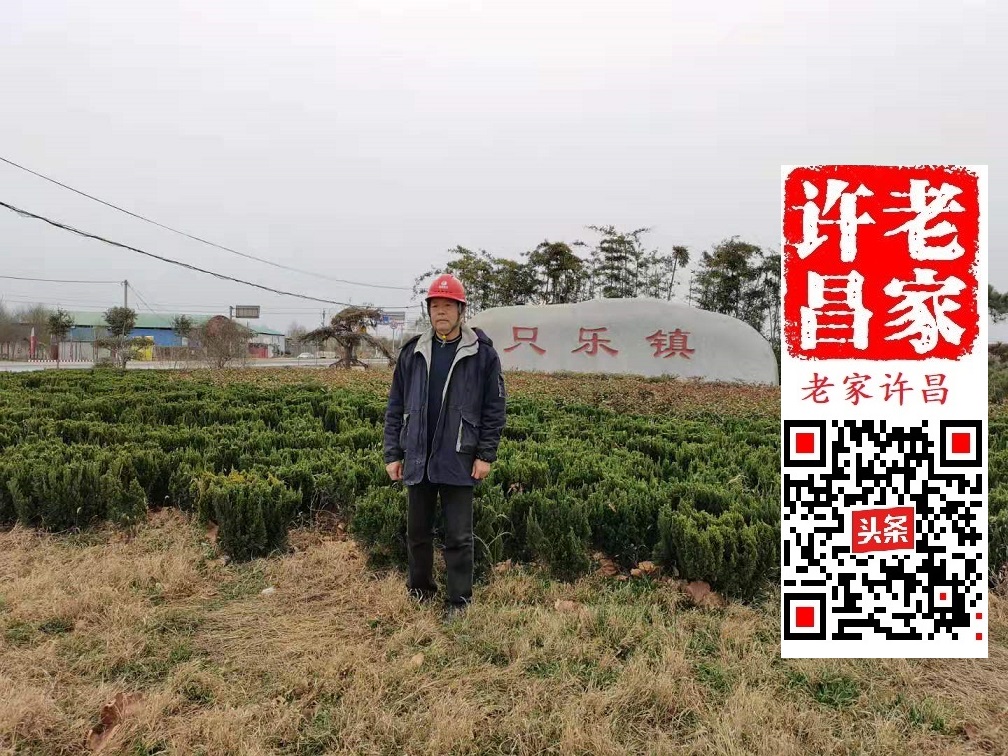 附近焦庄烧饼哪里的正宗,鄢陵吊炉烧饼哪家好吃