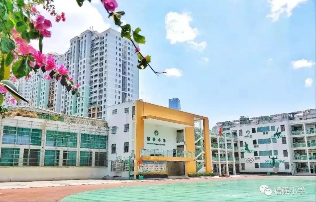 福田教科院附属小学怎么样,福田区民办小学哪个好