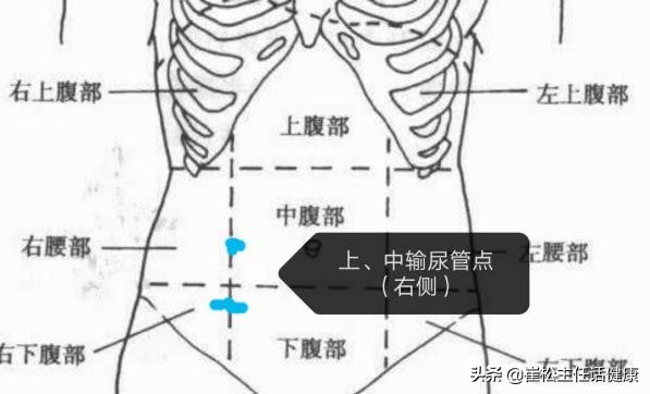 不想去医院第三弹！腹部不适的自我诊察