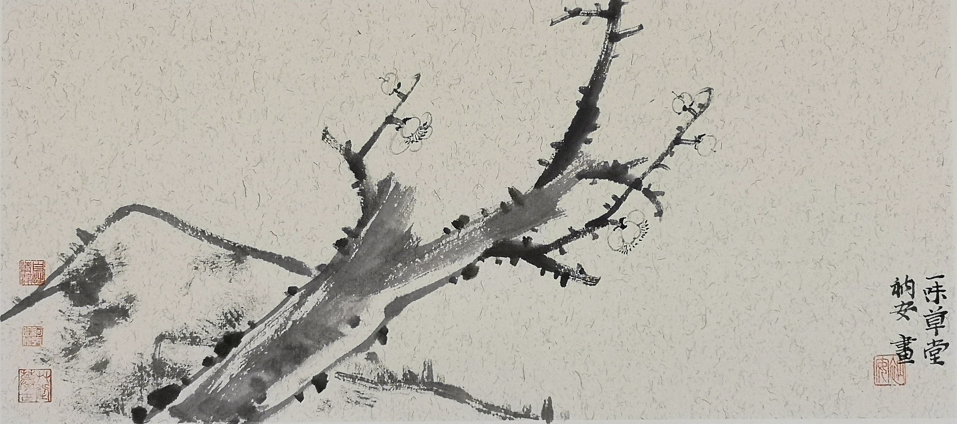 青年画家张楠:画画的时候,就要做到“心无杂念”。