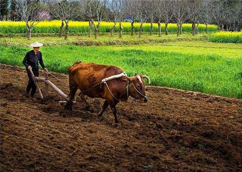 论治是什么意思,论治方法都有几种