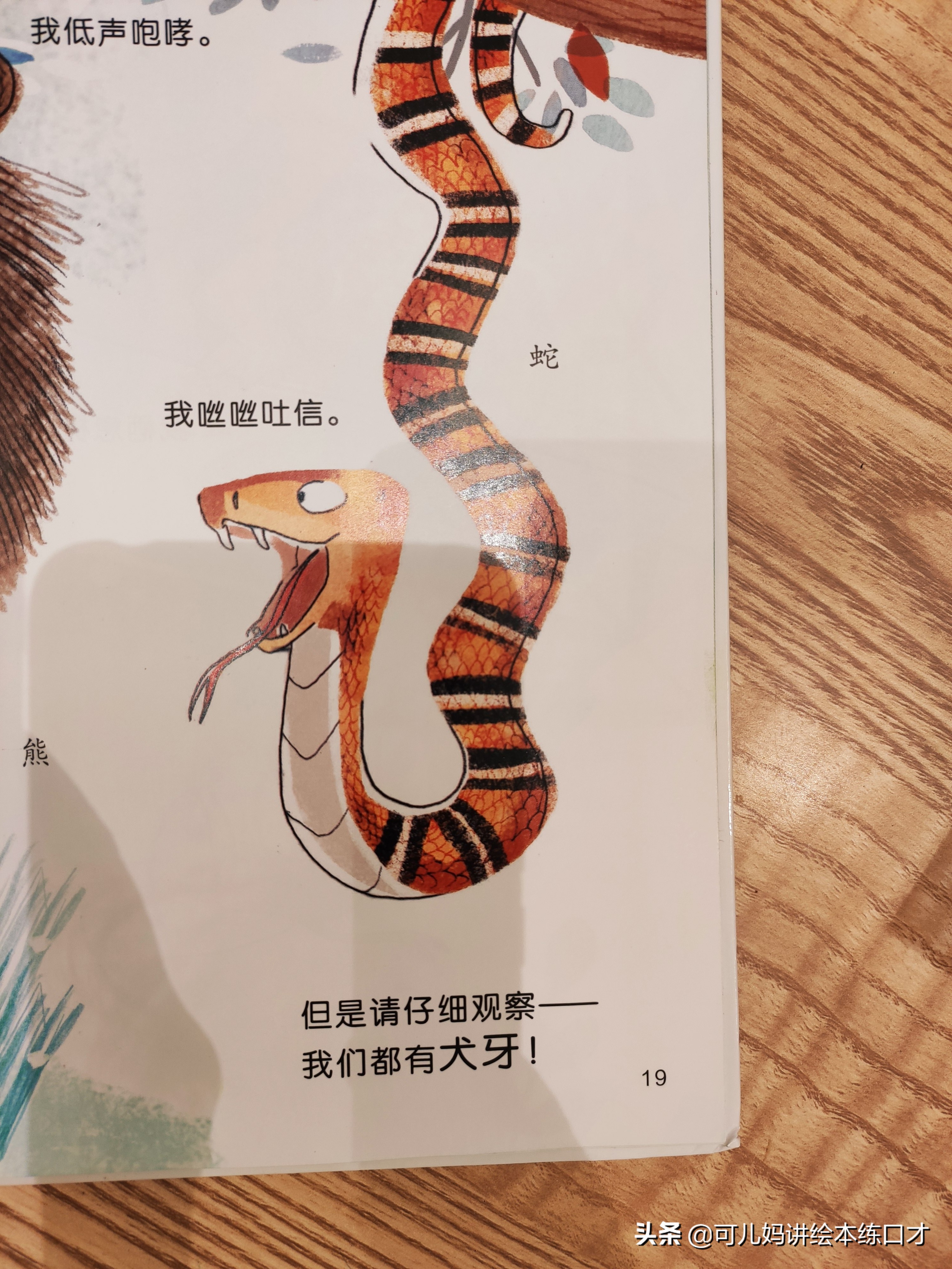 认识可爱的动物书,识图动物科普绘本