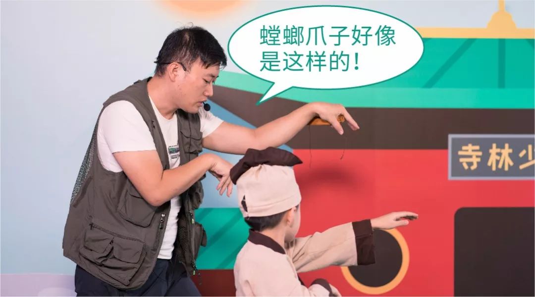 螳螂拳的深度解析,螳螂拳有几种