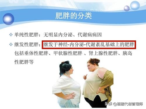 五个技巧内分泌回到正轨,掌握4个健康饮食原则