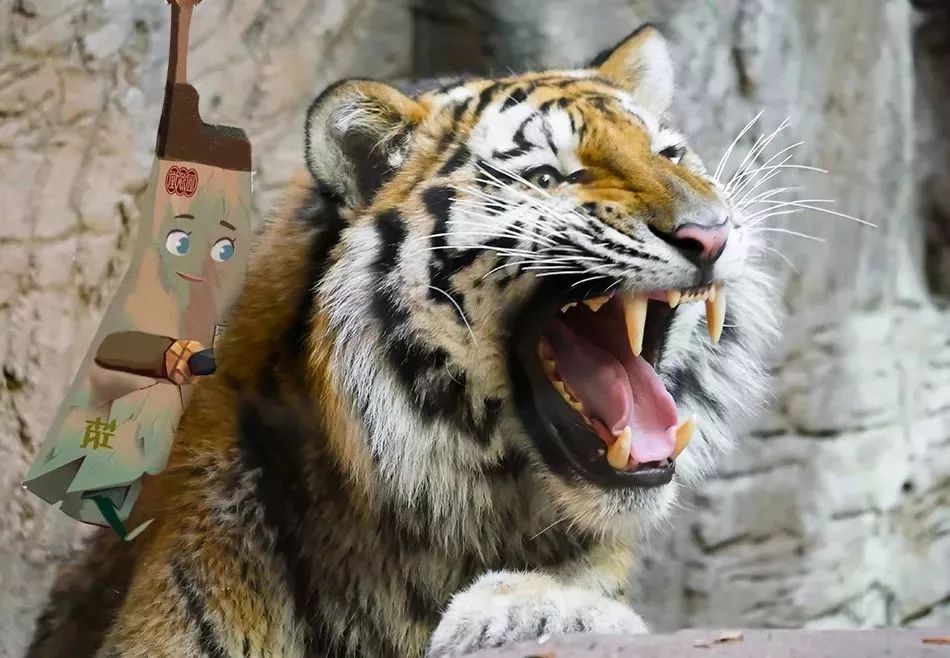 专爱老干妈;城里有森林湿地,摩天大厦还会“喷水”!