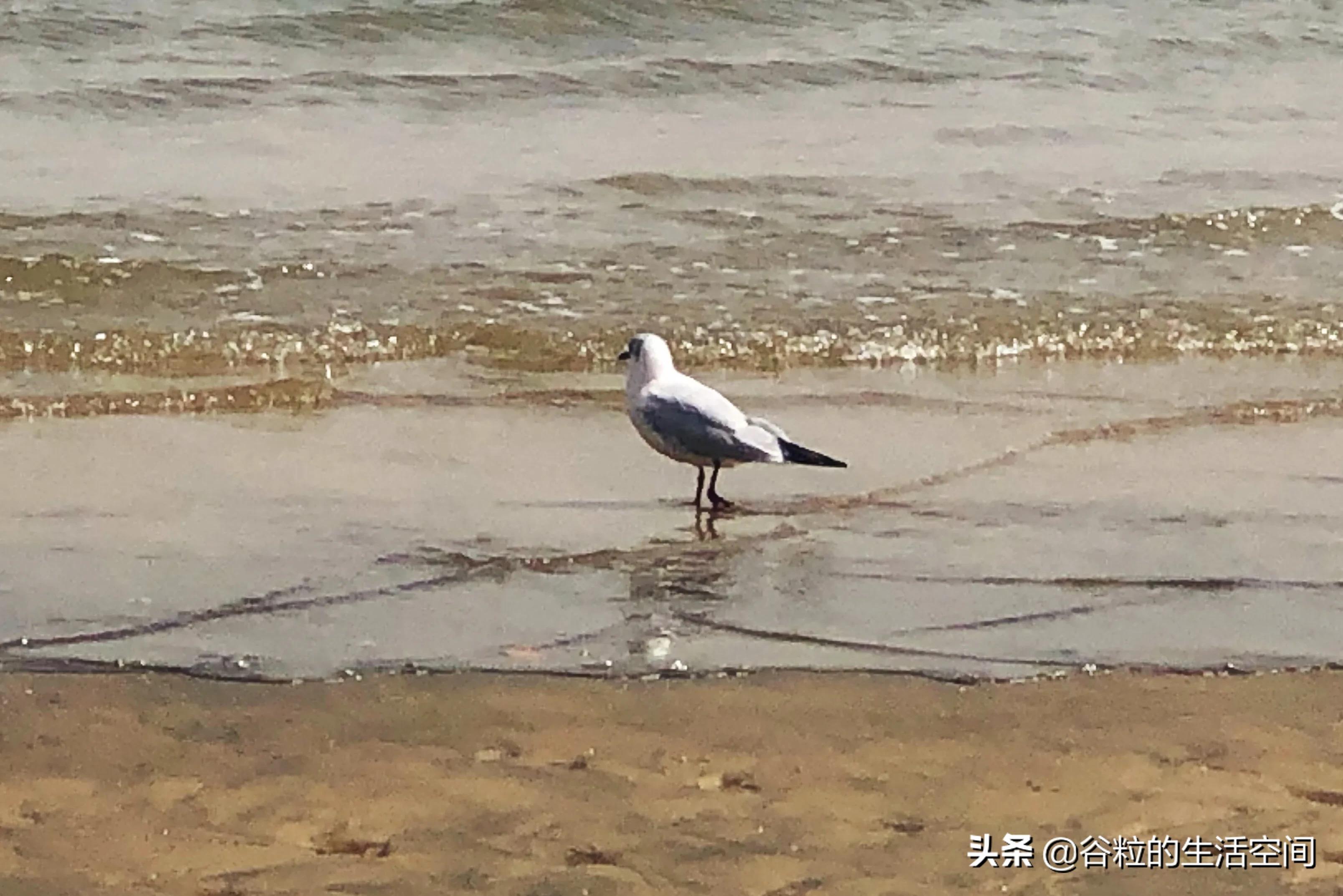 偷偷告诉你一个约会的好地方,告诉你一个亲子游的好地方