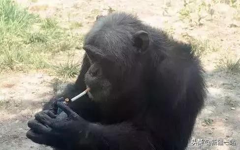 老城回忆乌鲁木齐,乌鲁木齐值得回忆的地方