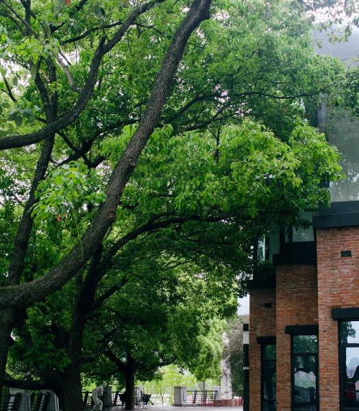 一个男人喝多就会打骂妻子怎么办,有病的男人打骂妻子